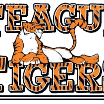 Fundraising Page: Teague Elementary